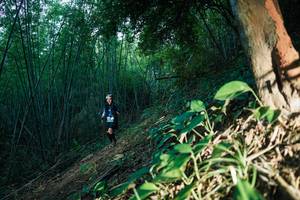 BIB: 
                            <button type="button" onclick="openModal(28124047)" class="btn btn-primary btn-sm float-right btn-popup" data-toggle="modal" data-target=".modal-high-quality">
                        <i class="fas fa-shopping-cart"></i> Add to Cart
                    </button>
                                            <button type="button" onclick="isThisMe(28124047, true)" class="btn btn-success btn-sm float-right btn-popup btn-isme hidden" data-toggle="tooltip" data-placement="bottom" title="นี่คือรูปของคุณใช่ไหม คลิกที่นี่เพื่อเอาเข้าอัลบั้ม">
                        <i class="fas fa-plus"></i> Add to album
                    </button>
                    <button type="button" onclick="isThisMe(28124047, false)" class="btn btn-warning btn-sm float-right btn-popup btn-isnotme hidden">
                        <i class="fas fa-ban"></i> Remove from album
                    </button>